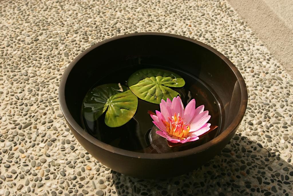 Spring Spa Hotel Wulai Exterior photo